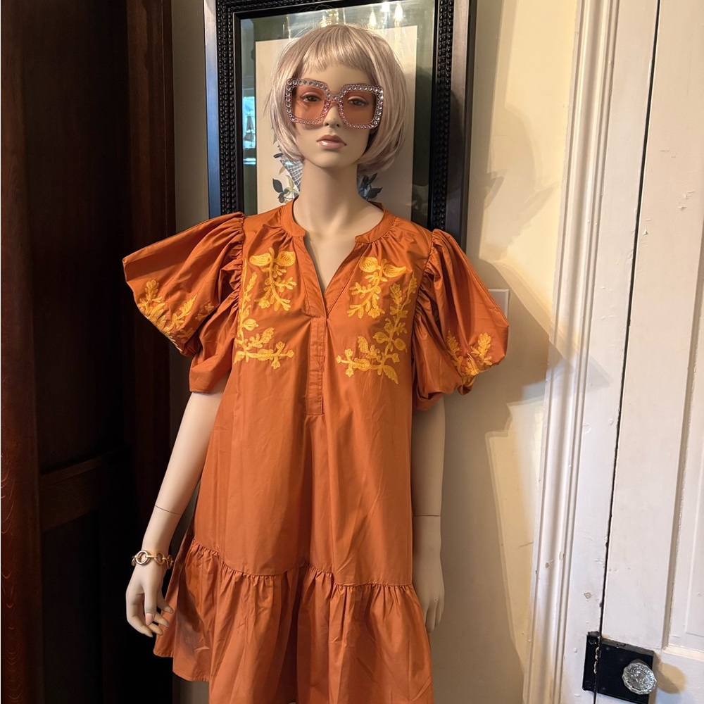 Entro Terracotta Embroidered Dress with puff sleeves